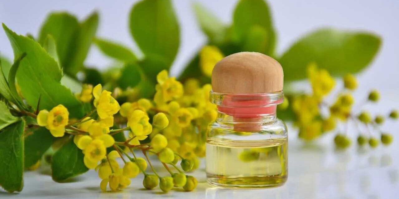 Kosmetik; green wash; Naturkosmetik; ätherischen Öle;