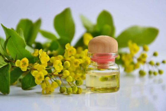 Kosmetik; green wash; Naturkosmetik; ätherischen Öle;